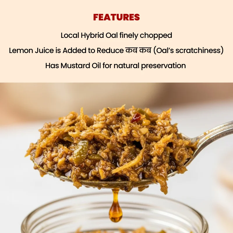 3 Unique Bihari Pickles | Save 12% on Traditional Taste & Flavors - Image 9